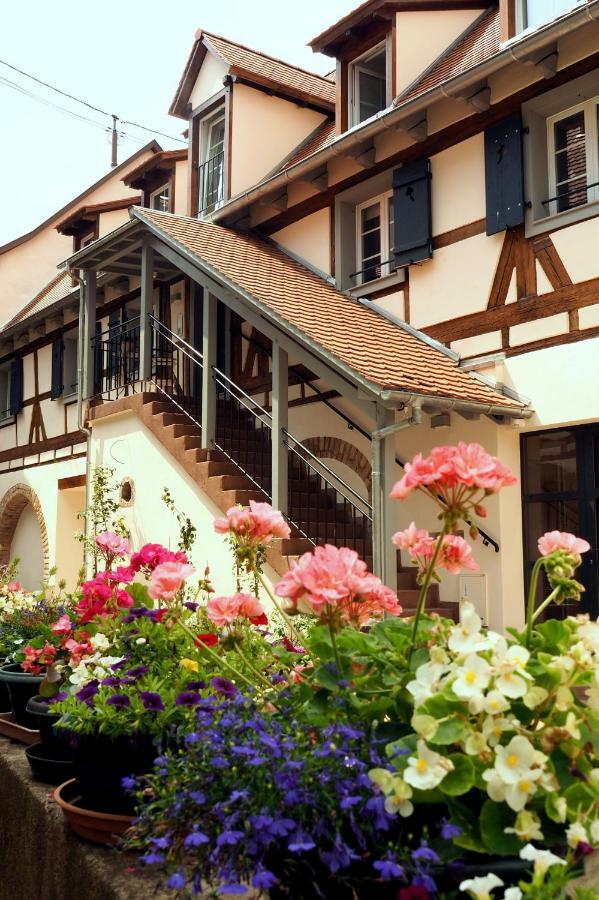 Apartament La Cour Sainte Agnes Obernai Zewnętrze zdjęcie