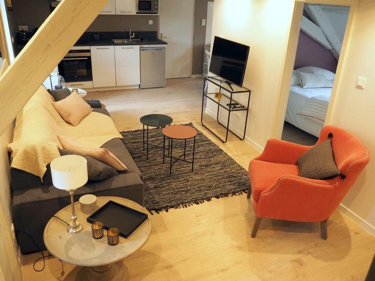 Apartament La Cour Sainte Agnes Obernai Zewnętrze zdjęcie