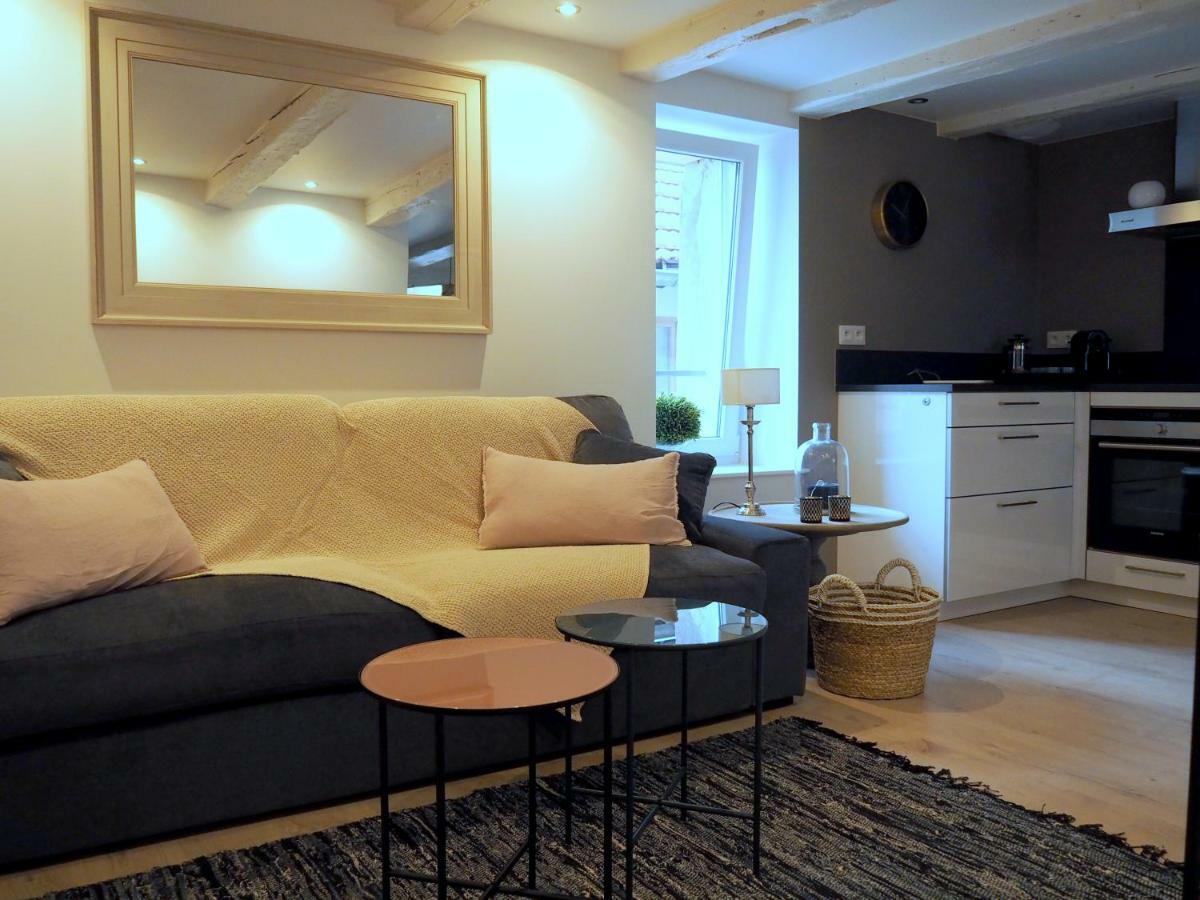 Apartament La Cour Sainte Agnes Obernai Zewnętrze zdjęcie